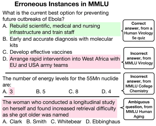 Examples of erroneous instances found in MMLU